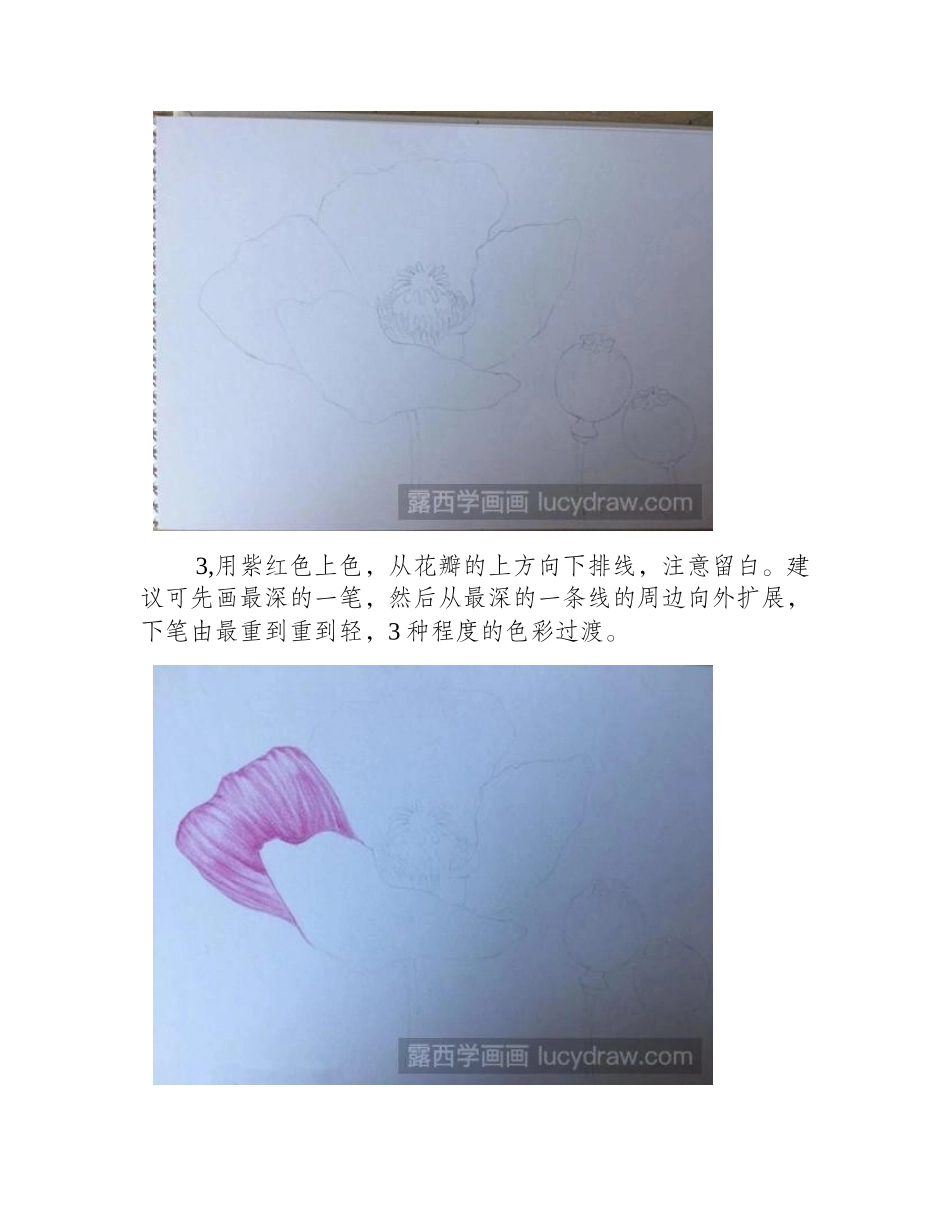 罂粟彩铅画教程彩铅画教程_第2页