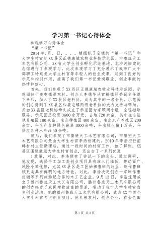学习第一书记心得体会_3