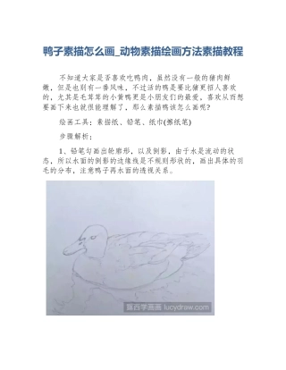 鸭子素描怎么画_动物素描绘画方法素描教程