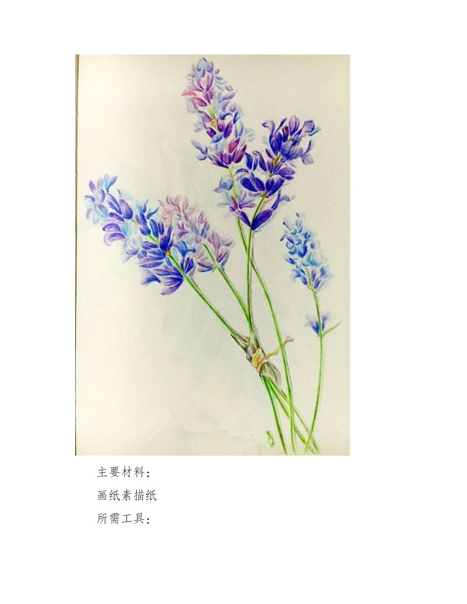 薰衣草彩铅教程图解彩铅画教程_第2页
