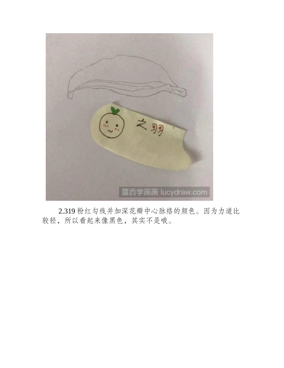 怎么画花瓣彩铅画教程_第2页
