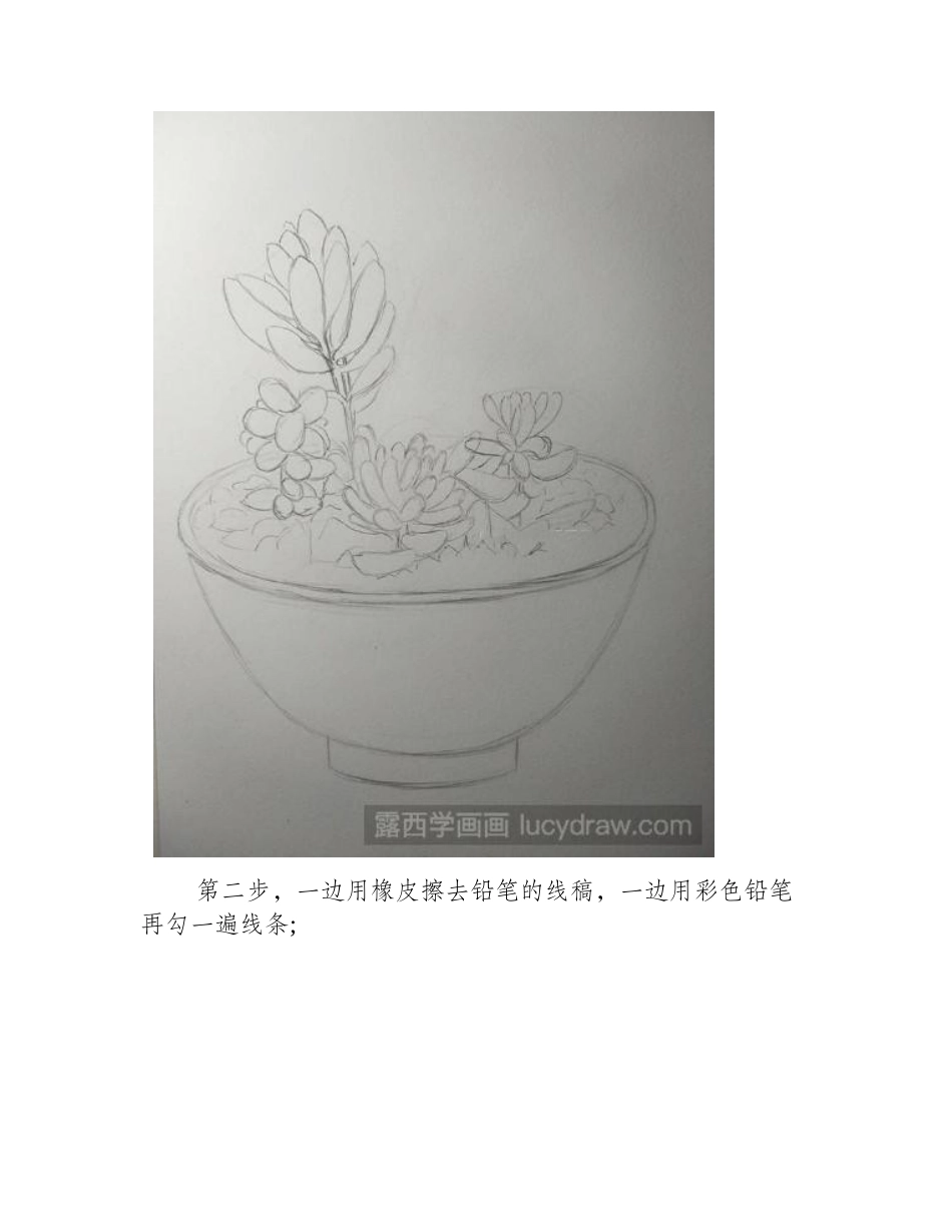 怎样画彩铅多肉彩铅画教程_第2页