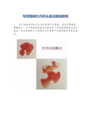 写意国画牡丹花头画法国画教程