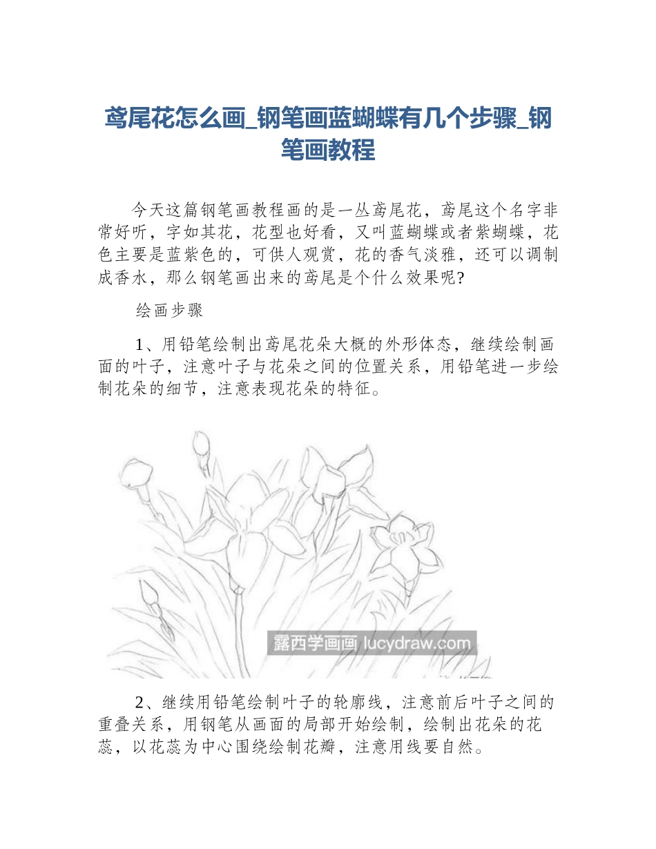 鸢尾花怎么画_钢笔画蓝蝴蝶有几个步骤_钢笔画教程_第1页