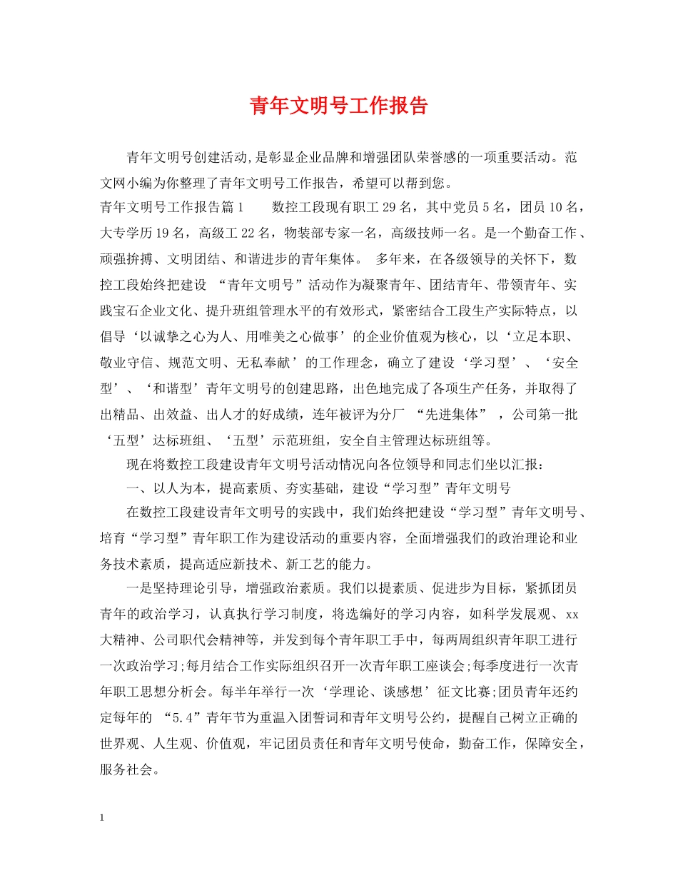 青年文明号工作报告 _第1页