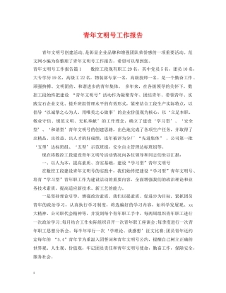 青年文明号工作报告 