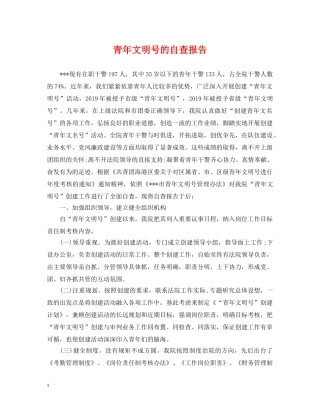青年文明号的自查报告 