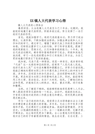 XX镇人大代表学习心得