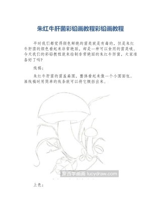 朱红牛肝菌彩铅画教程彩铅画教程