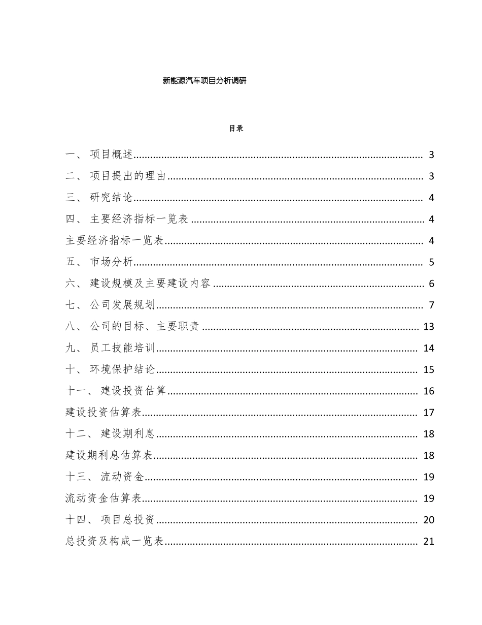 新能源汽车项目分析调研_第1页