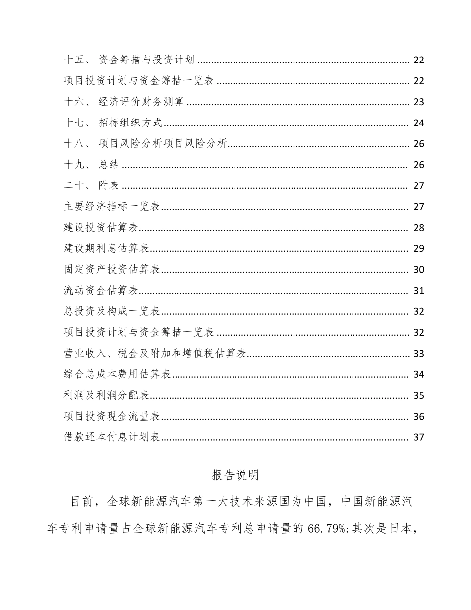 新能源汽车项目分析调研_第2页