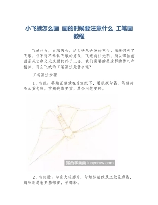 小飞蛾怎么画_画的时候要注意什么_工笔画教程