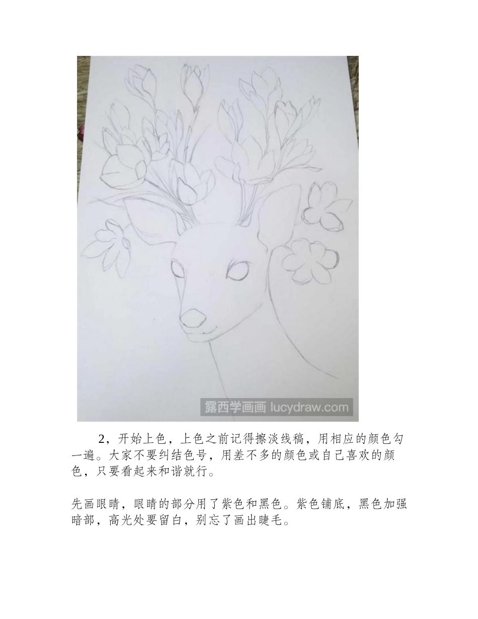 小鹿彩铅画教程彩铅画教程_第2页