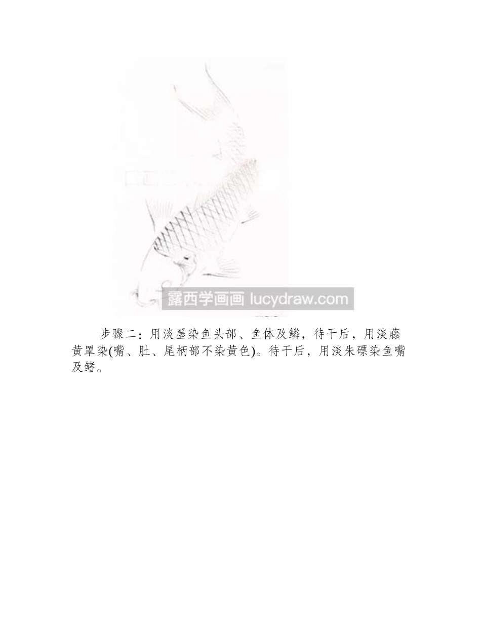 怎么绘制金色鲤鱼国画教程_第2页