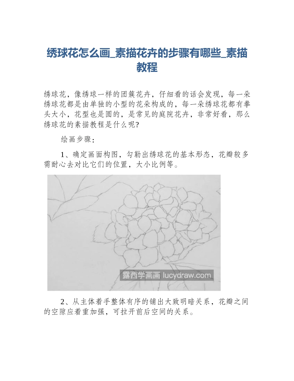 绣球花怎么画_素描花卉的步骤有哪些_素描教程_第1页