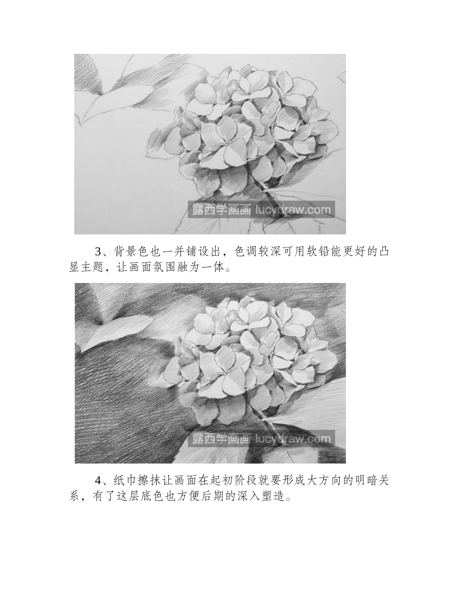 绣球花怎么画_素描花卉的步骤有哪些_素描教程_第2页