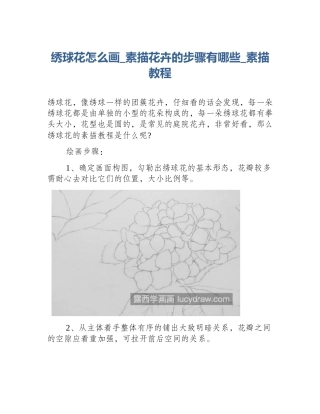 绣球花怎么画_素描花卉的步骤有哪些_素描教程