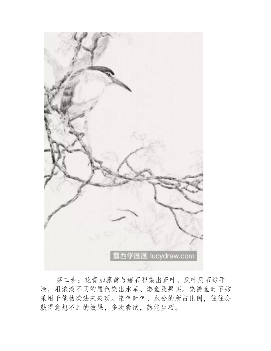 夜鹭怎么画_有哪些绘画步骤_工笔画教程_第2页