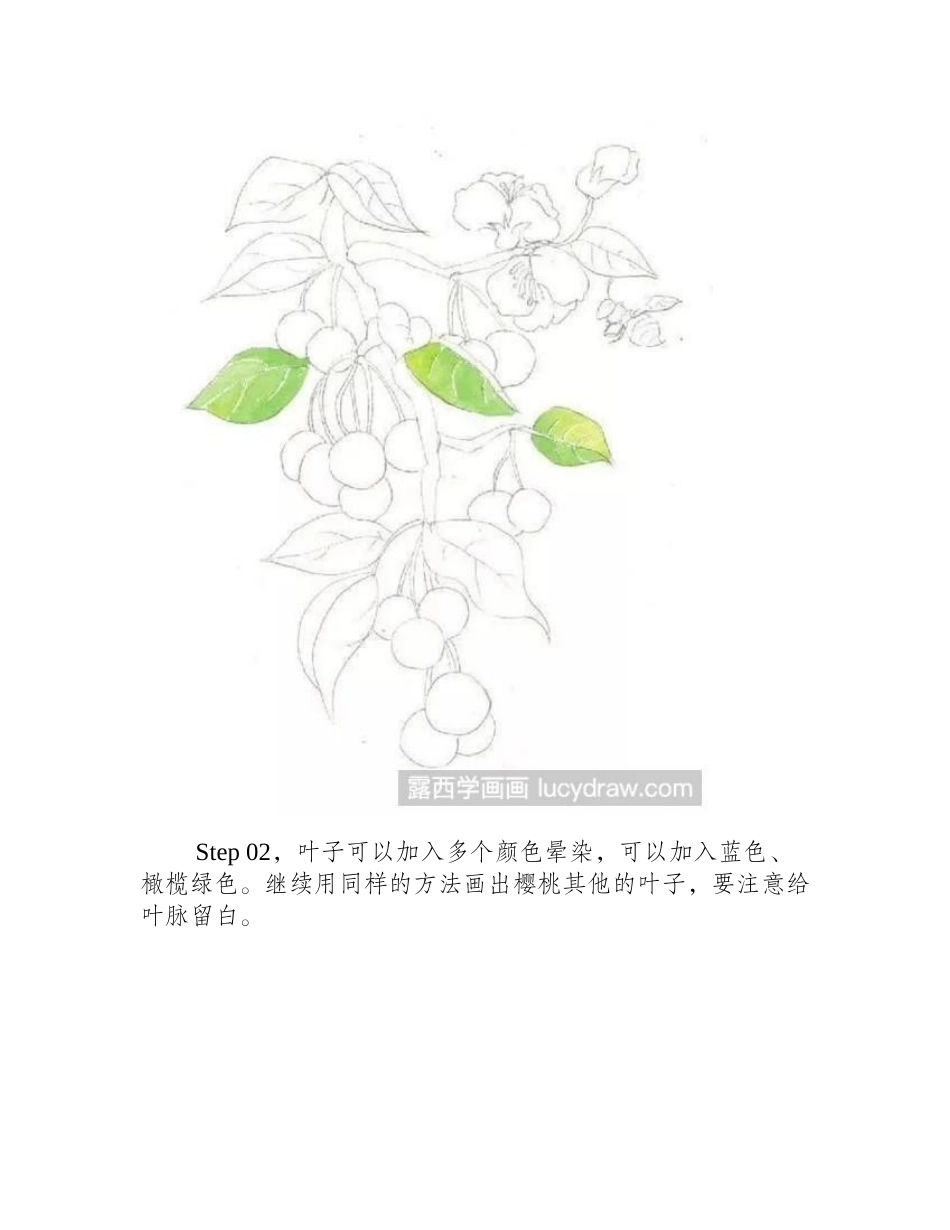 樱桃水彩画步骤水彩画教程_第2页