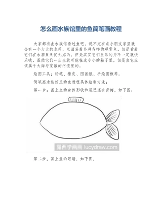 怎么画水族馆里的鱼简笔画教程