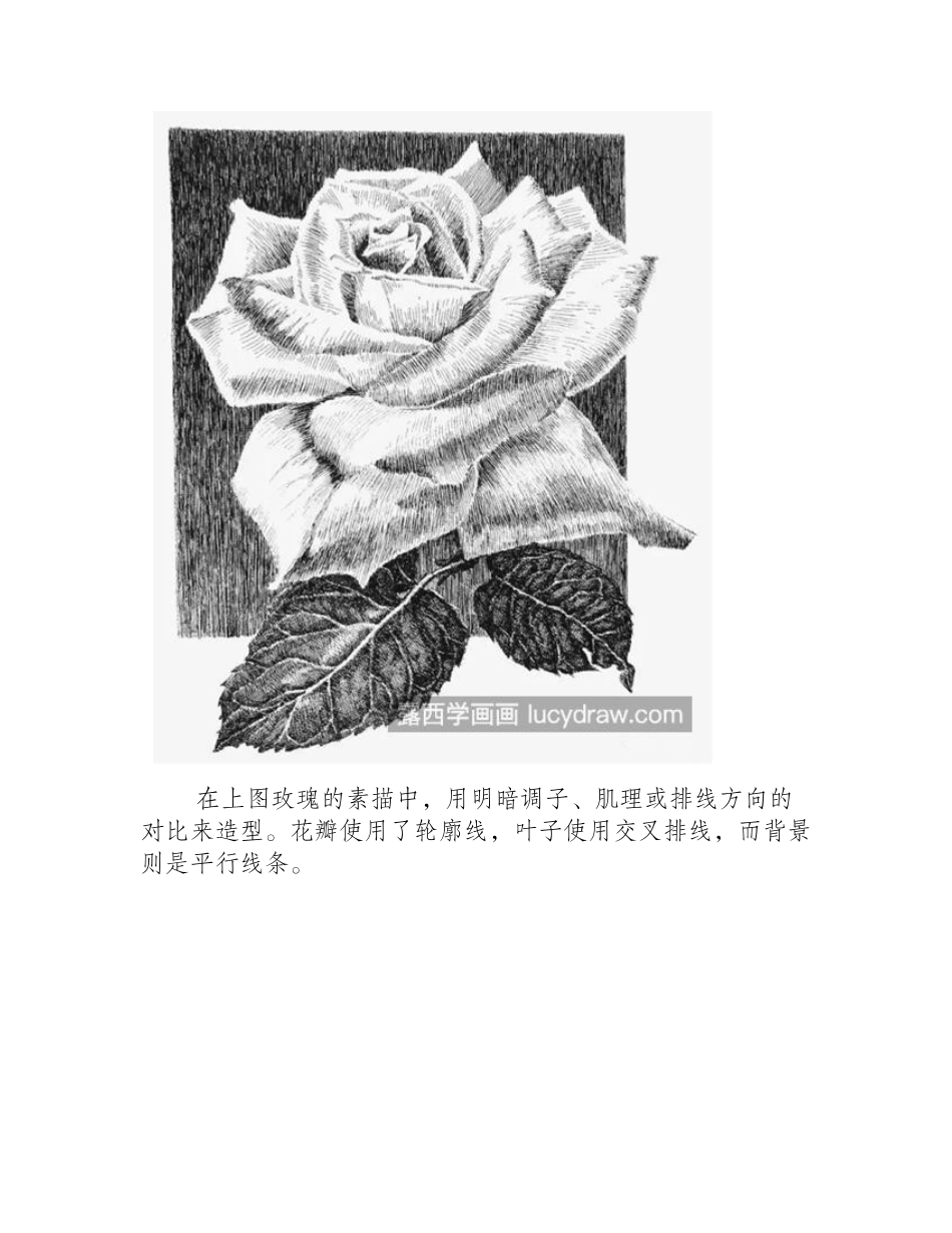 一组钢笔画作品欣赏，带你领略钢笔画的优美钢笔画作品1_第2页