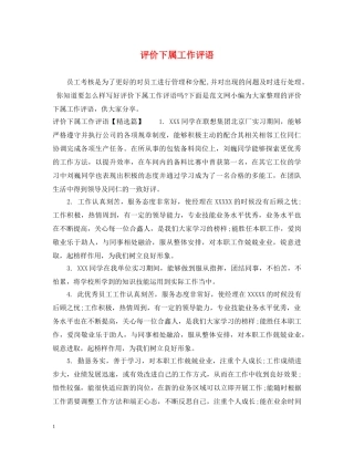 评价下属工作评语 