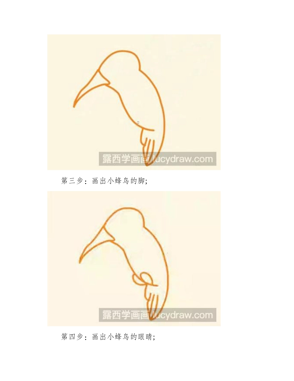怎么画简笔画小蜂鸟简笔画教程_第2页
