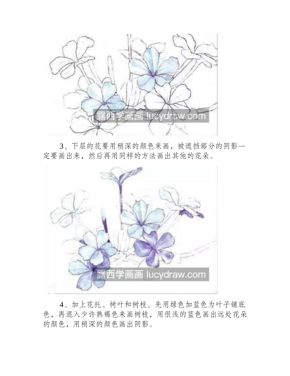 紫色小花怎么画_一幅画里多朵花的画法是什么_水彩画教程_第2页