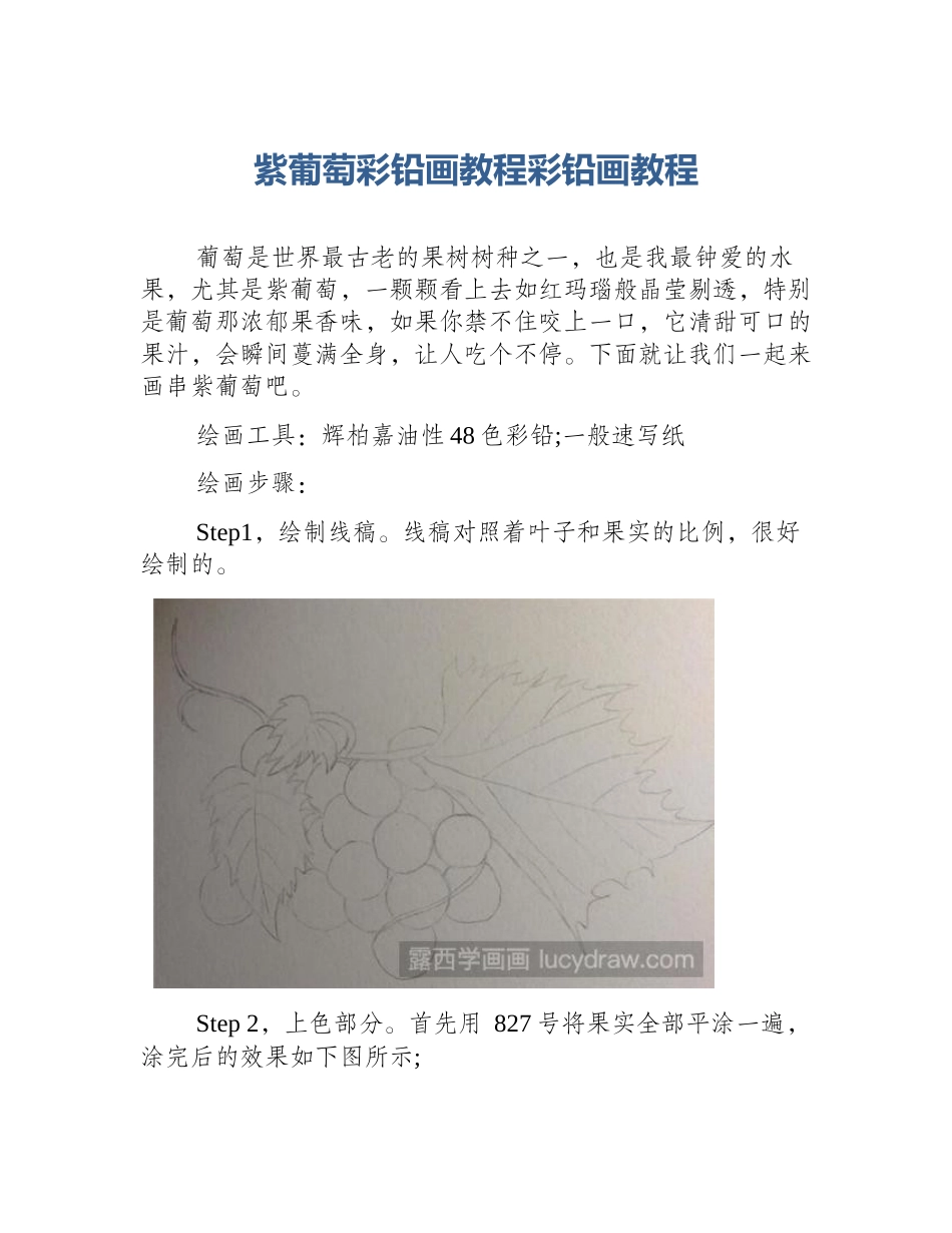 紫葡萄彩铅画教程彩铅画教程_第1页