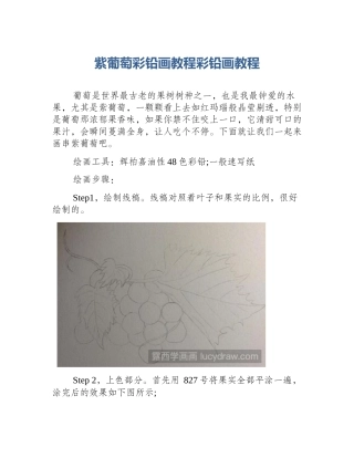 紫葡萄彩铅画教程彩铅画教程