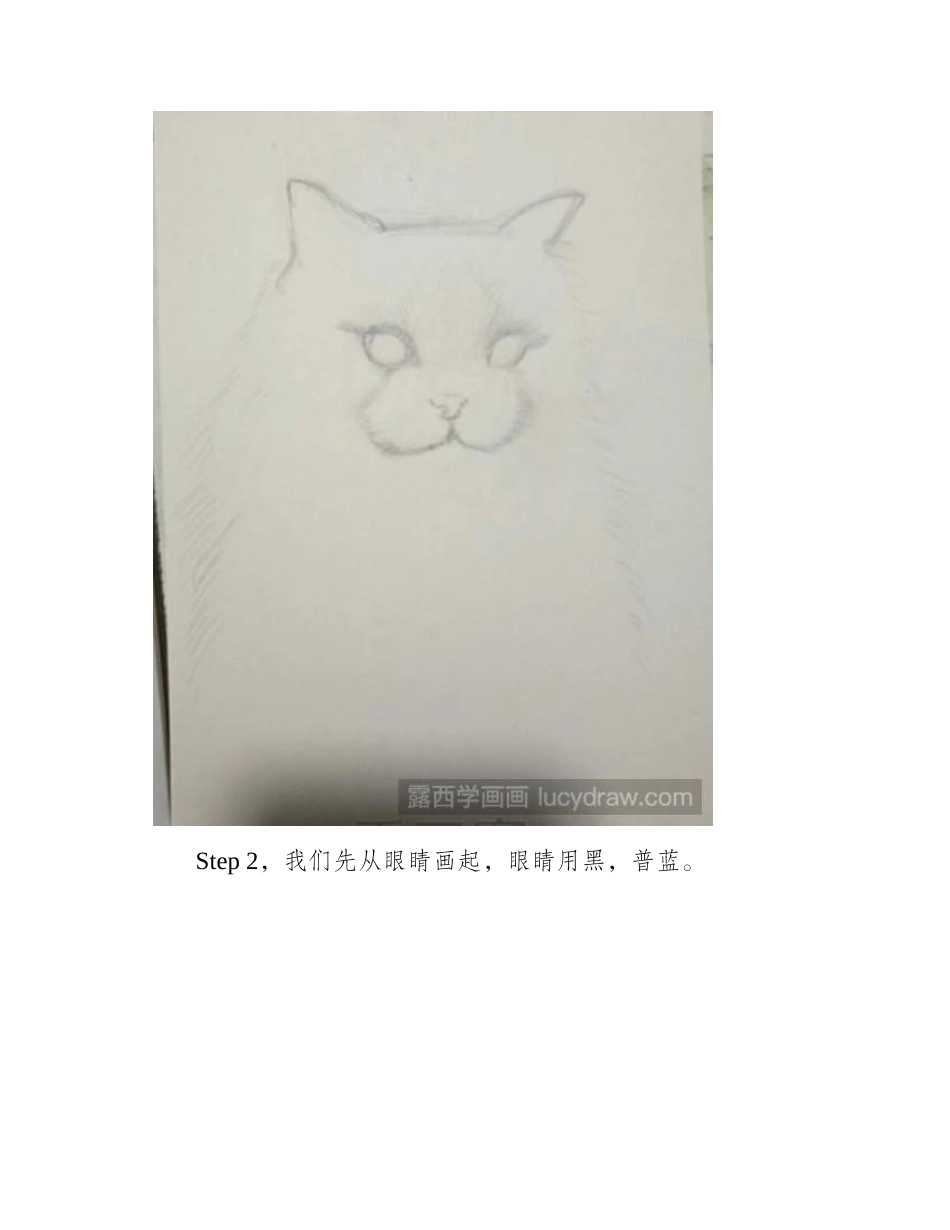 怎么用色粉画布偶猫色粉画教程1_第2页