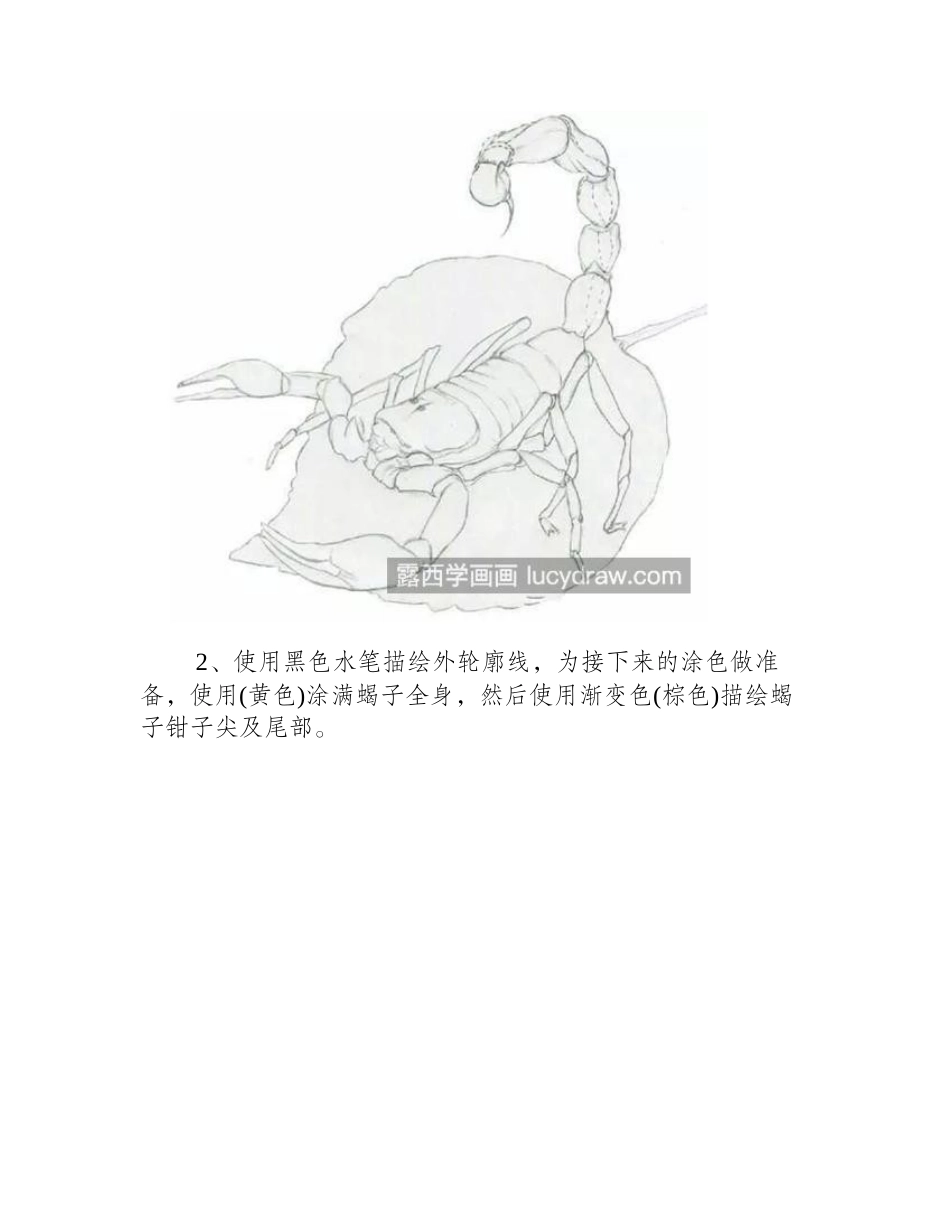 蝎子怎么画_教你画一只匍匐的蝎子彩铅画教程_第2页