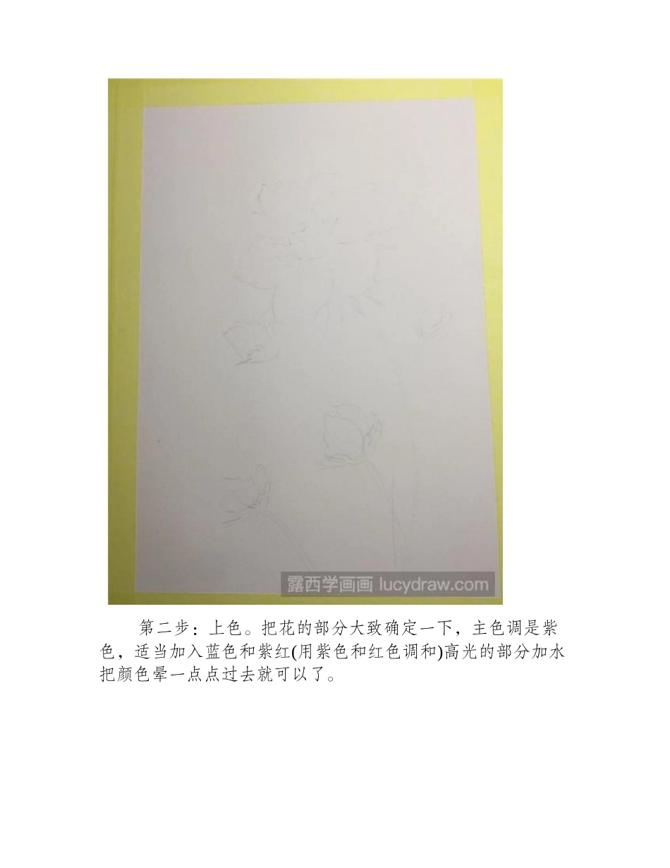 银莲花水彩画教程水彩画教程_第2页