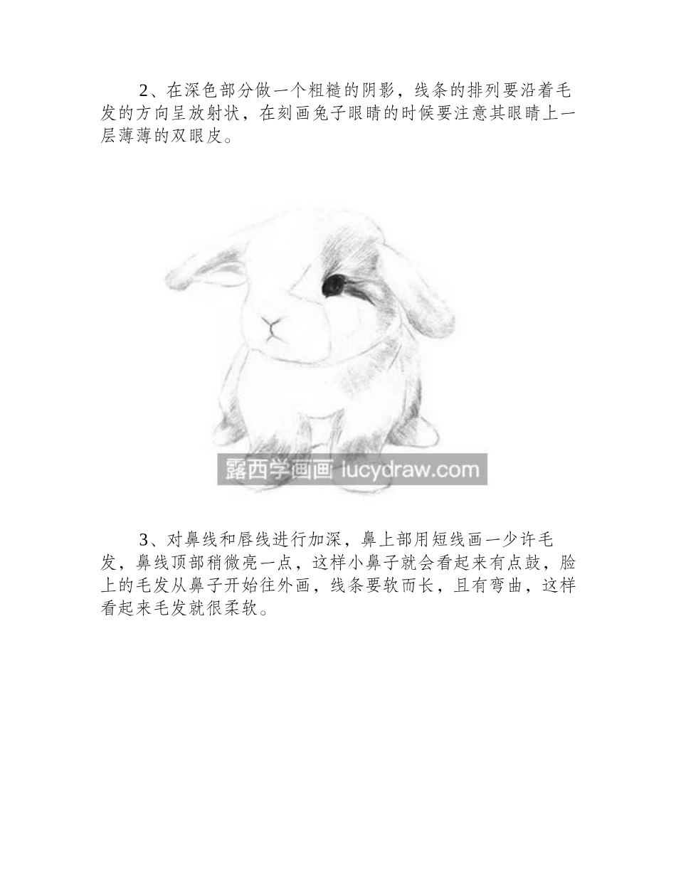 小白兔怎么画_兔子的素描步骤有哪些_素描教程_第2页
