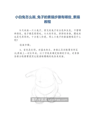 小白兔怎么画_兔子的素描步骤有哪些_素描教程