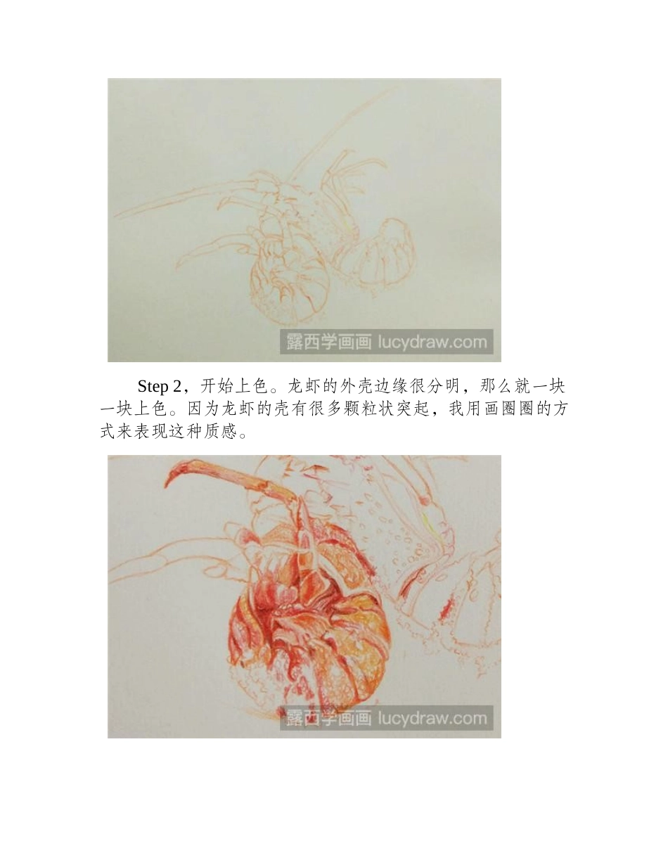 小龙虾彩铅教程彩铅画教程1_第2页