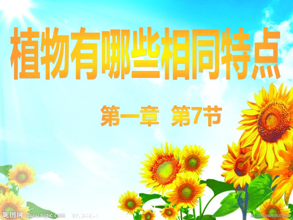 17-植物有哪些相同特点_第1页