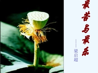 (部编)初中语文人教2011课标版七年级下册最苦与最乐-(10)