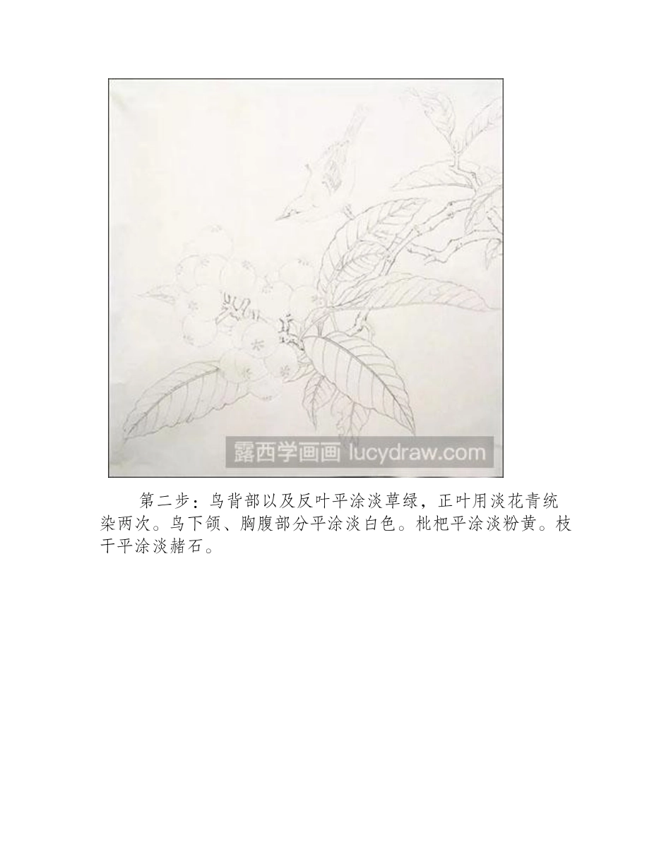 怎么给《临宋枇杷绣眼图》设色工笔画教程_第2页