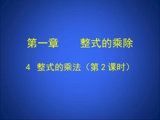 整式的乘法(二)
