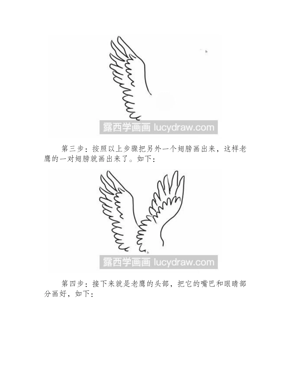 怎么画简笔画老鹰简笔画教程_第2页