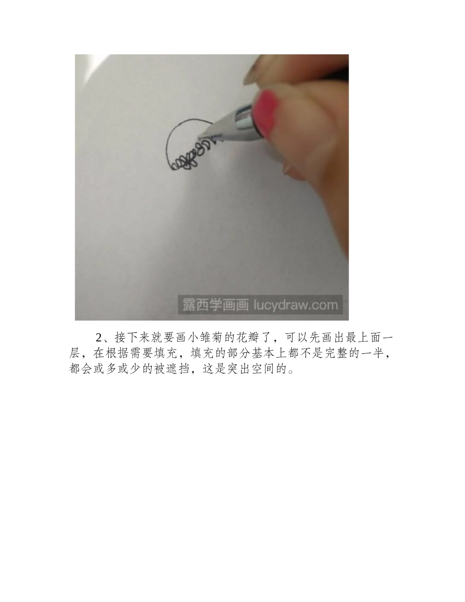 怎么画简笔雏菊简笔画教程_第2页