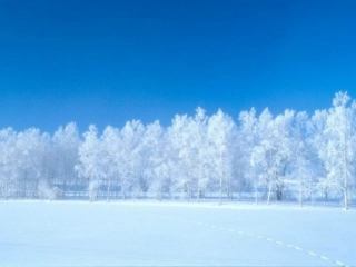 3202《雪地里的小画家》PPT