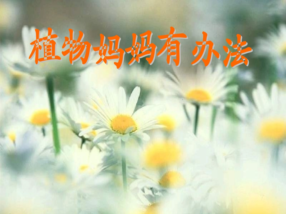 人教版小学语文二年级上册《植物妈妈有办法》PPT课件_第1页