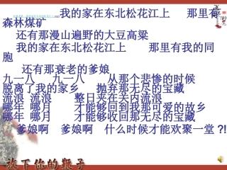 11八年级下《放下你的鞭子》正式版