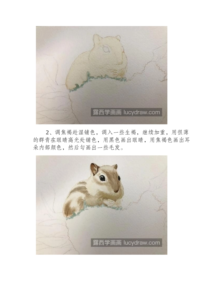 小松鼠怎么画_吃瓜松鼠的详细画法是什么_水彩画教程_第2页
