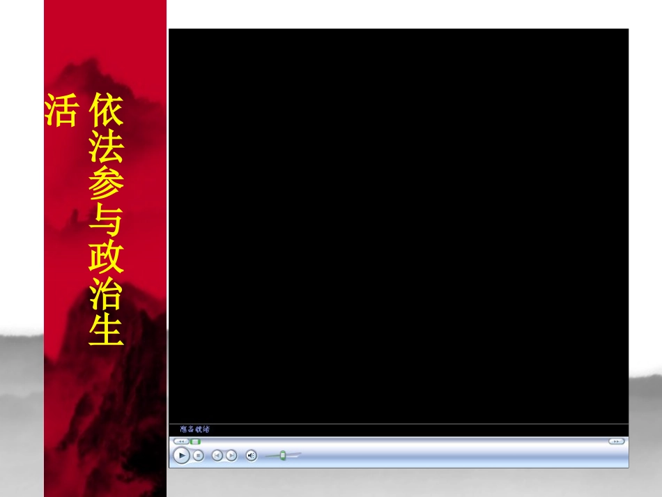 依法参与政治生活_第2页