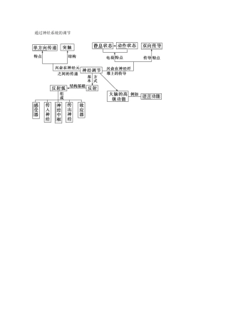 通过神经系统的调节