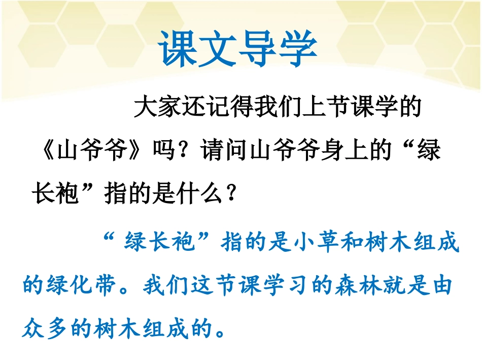 《森林-你好》课件1_第2页