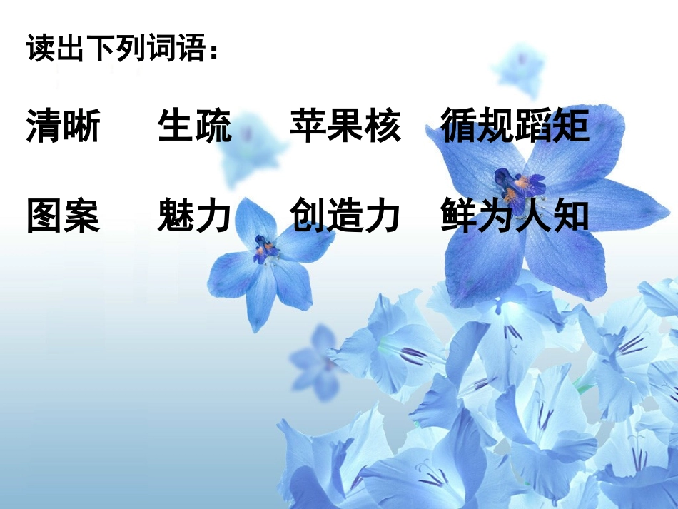第5课《苹果里的五角星》_第3页